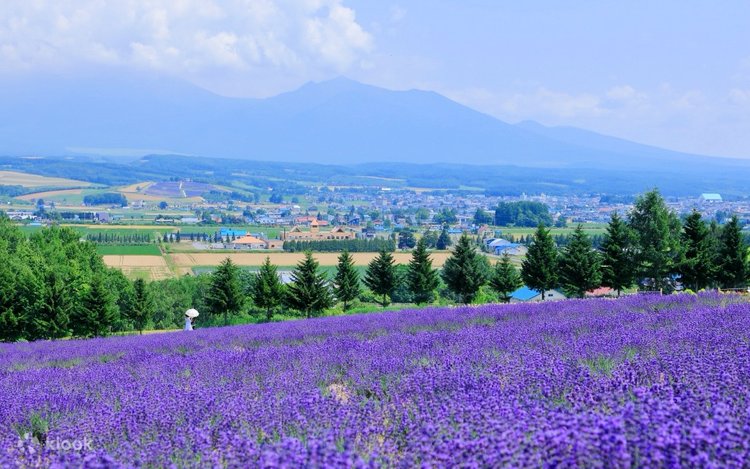 Blue Pond, Shirogane Falls, Shikisai-no-oka, Miyama Pass, & Flower
