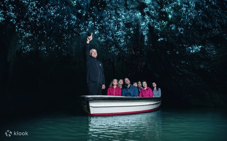 Auckland to Rotorua via Hobbiton & Waitomo (One-Way) Small Group Tour -  Klook India