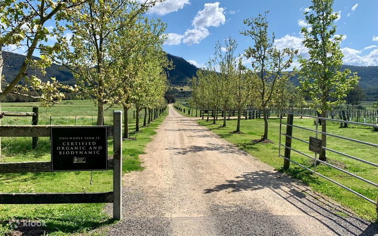 Krinklewood Vineyard