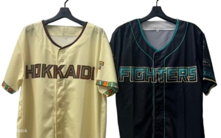 Hokkaido Ballpark F Village Baseball Stadium Tour (Hokkaido) - Klook