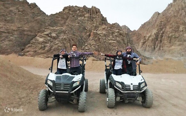 Sharf qulligi Sharf qulligi