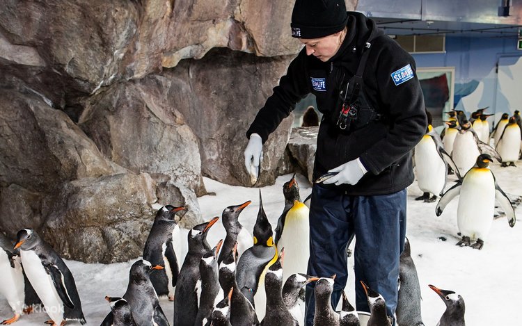シーライフケリータールトンズ水族館 入館チケット（オークランド