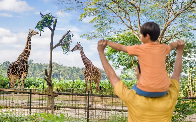 Singapore Zoo