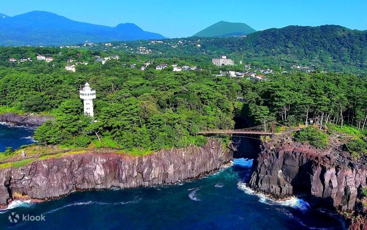 Hakone Shrine & Jōgasaki Coast & Mt. Omuro in Izu Day Trip (From