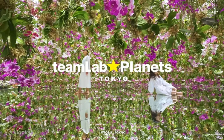 A room filled with flowers at teamLab Planets