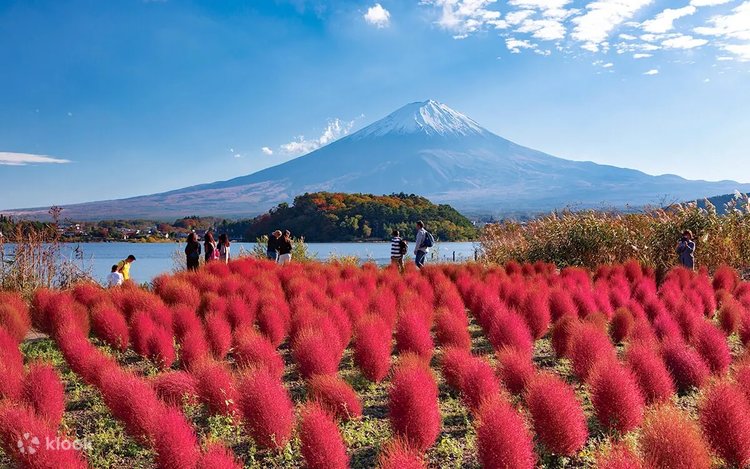 Onanizm uchun raqamli porno tasvirlarni koring