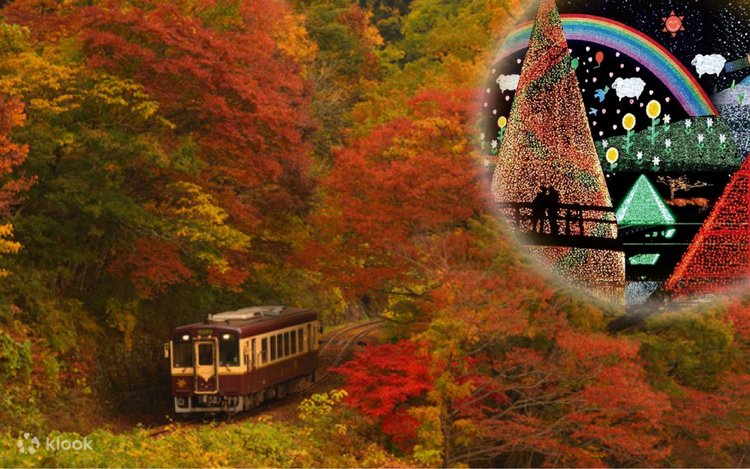 紅葉の賀は賑わいて PR 4枚 新宿発・わたらせ渓谷鉄道から紅葉鑑賞！あしかがフラワーパーク
