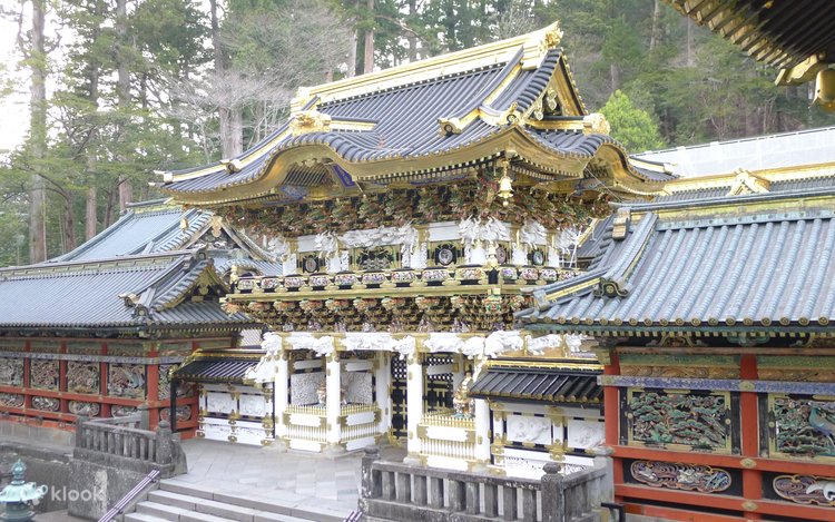 Lizkaning mushuki IPadda katta sikli anal porno