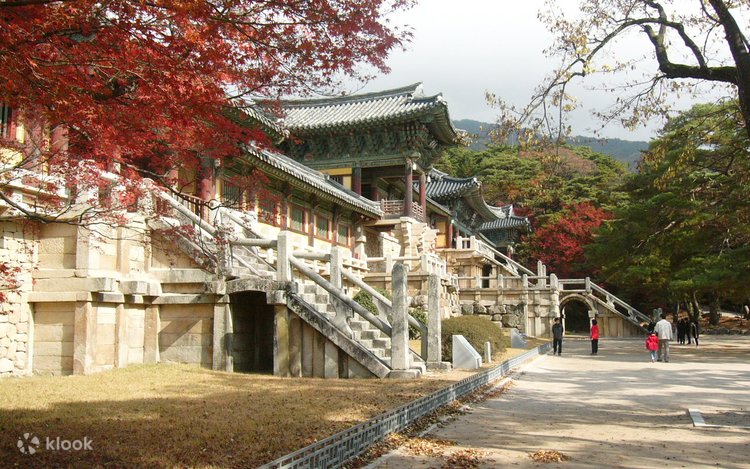 石窟庵・仏国寺・歴史遺跡地区・国立博物館 慶州観光1日日本語ツアー