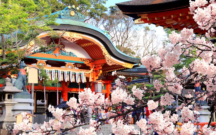 古都文化巡礼之旅：奈良东大寺・世界最大木造建筑+京都伏见稻荷大社