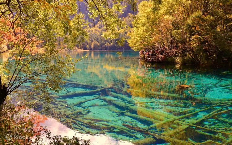 Porno video: qon oqmaguncha shafqatsiz sikish Onlayn porno: qora tanlilar onanizm