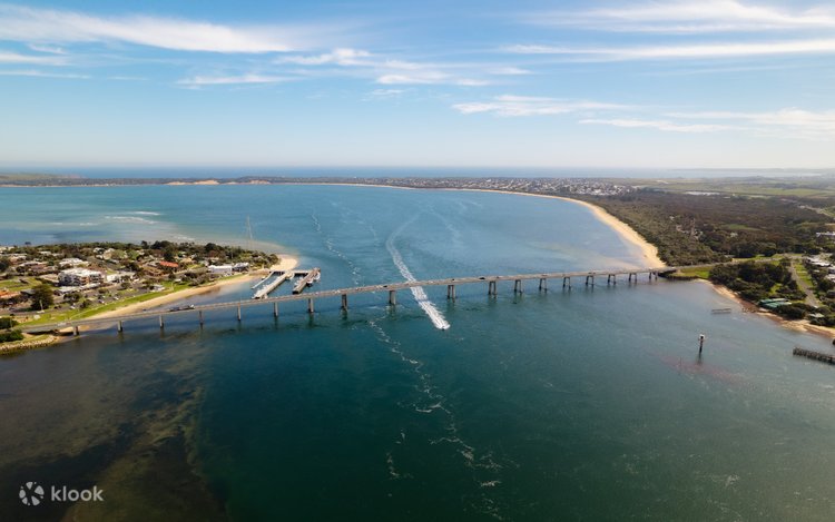 Thundercat Race Boat Experience in Bass Coast - Klook