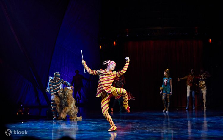 シルク・ドゥ・ソレイユ ソルストロム〈5枚組〉 シルク・ドゥ・ソレイユ ソルストロム〈5枚組〉 ZUMANITY