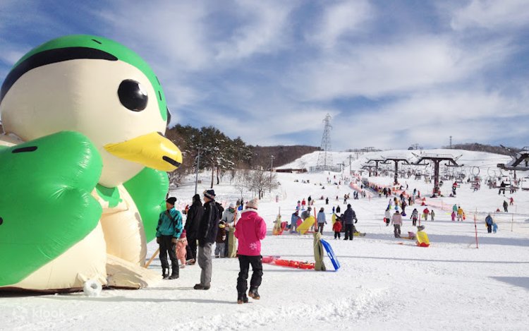 名古屋発 白川郷ライトアップ 2024 と高山雪遊び付き 2 日間バス