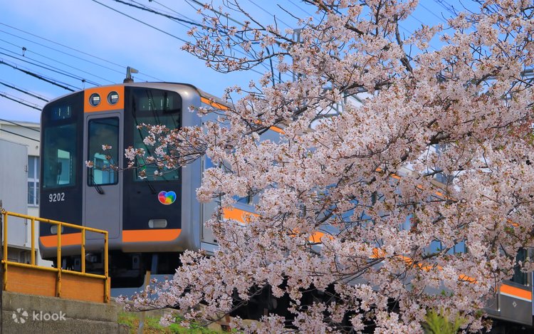 ポートライナー&阪神1日乗車券 [L] | Klook