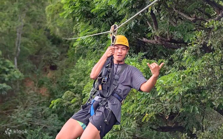 Jungle Zip & Tower Thrill Experience in Oahu - Klook