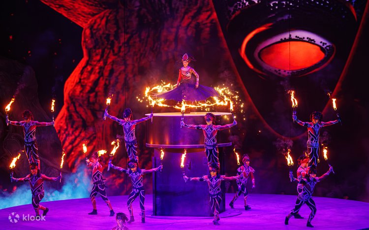 クチロロ　Live Love お披露目会　 DVD 新品未開封 クチロロ Live Love お披露目会 DVD 新品未開封 Amazon.co.jp