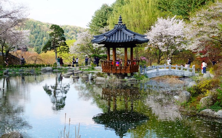 Alpaca Pasture, Nami Island, and The Garden of Morning Calm Day