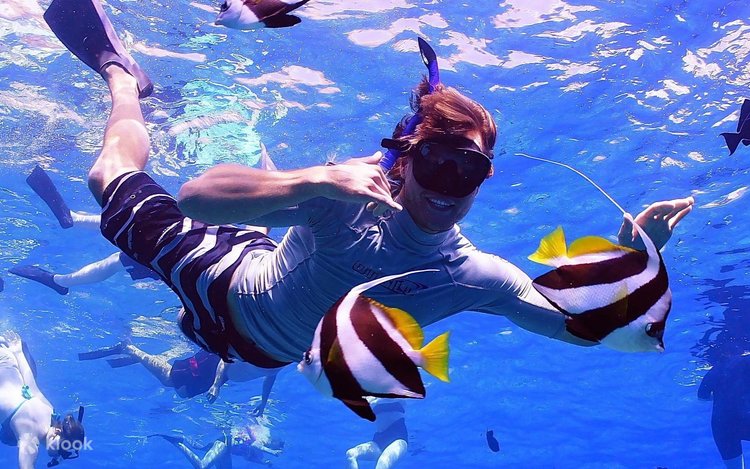 Molokini & Turtle Town Snorkel Adventure Aboard Calypso Catamaran