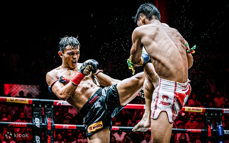 Pokaz Muay Thai: Nowa Era w Bangkoku