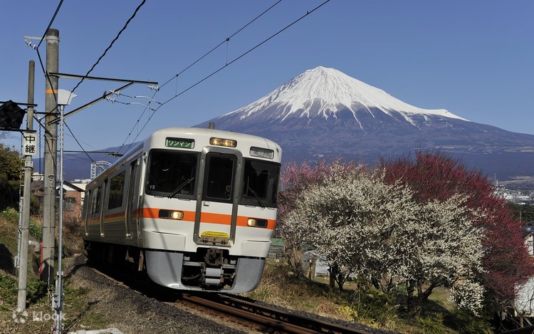 Mt. Fuji & Shizuoka Wasabi Farm Tour with Hokusai Train