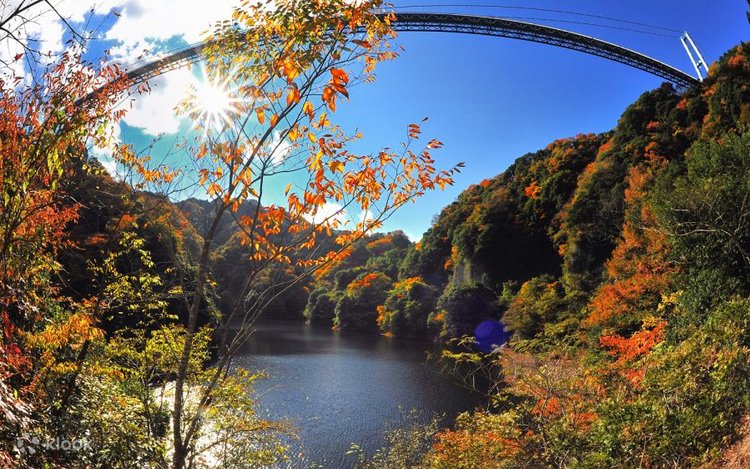 Bronze/Orange Road/Waterfall 永井博 一十三十一 Ibaraki's Three Famous Fall Foliage Viewing Spots] Fukuroda