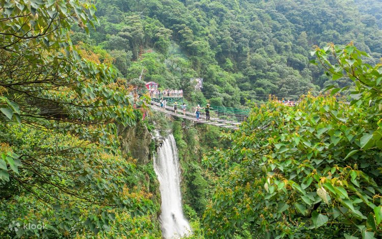 Kokrak va dumba ichki kiyimsiz