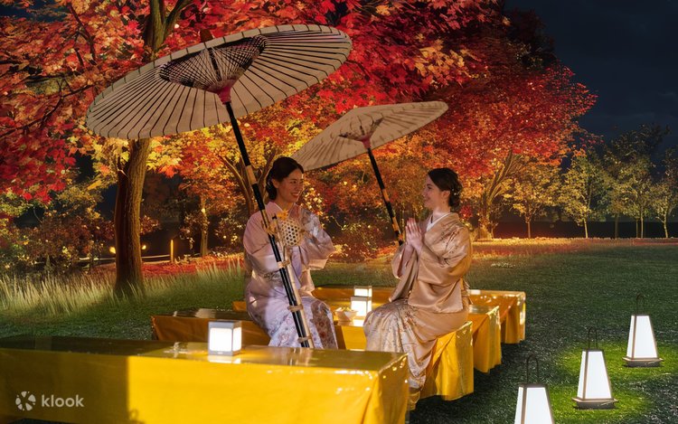 Himeji Castle of Light『DANDELION PROJECT 姫路城 × NAKED, INC. - Klook