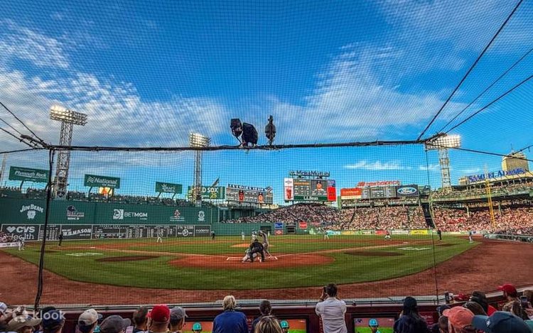 フェンウェイ・パーク (Fenway Park) でボストン・レッドソックス