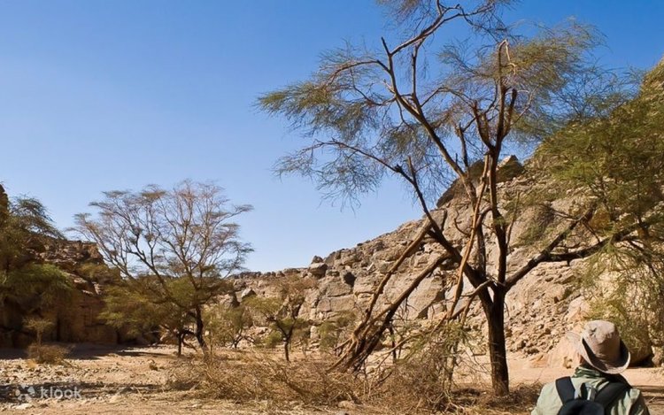 Bryanskni yalashingga ruxsat beraman