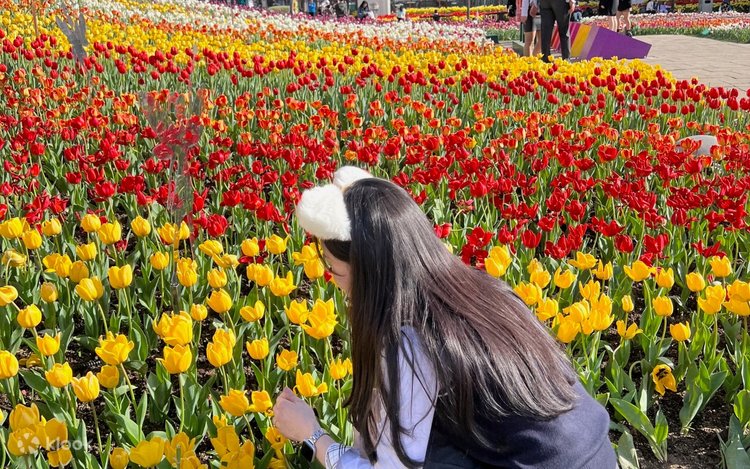 Tozalashayotganimda ko‘kragim tushib ketdi.