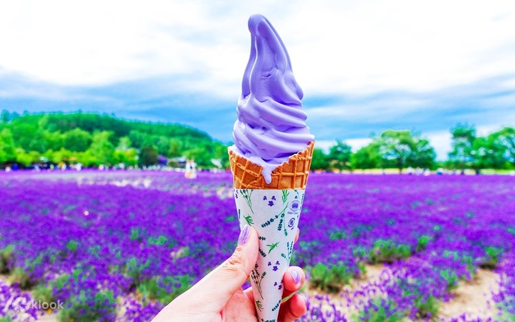 Biei Blue Pond & Ningle Terrace & Shikisai-no-oka/Farm Tomita