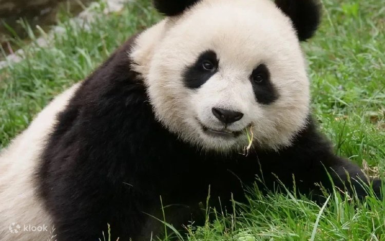 Ыстық орыс аналар секс видео