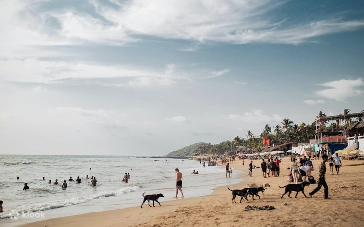 North Goa: Sightseeing Tour (Shared) - Klook