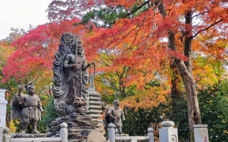 高尾山もみじまつり、国営昭和記念公園いちょう並木ライトアップ