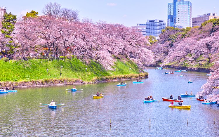 週末を楽しむ東京の花と緑と名所ガイド36コース 週末を楽しむ東京の花と緑と名所ガイド36コース
