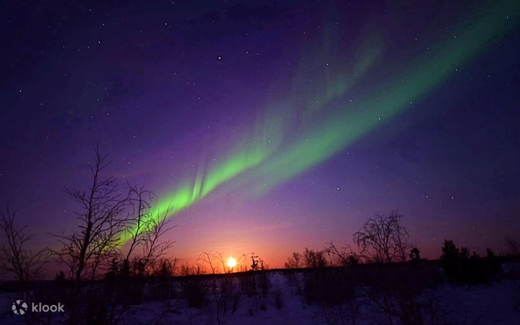 イエローナイフ オーロラハンティング 複数日ツアー | Klook