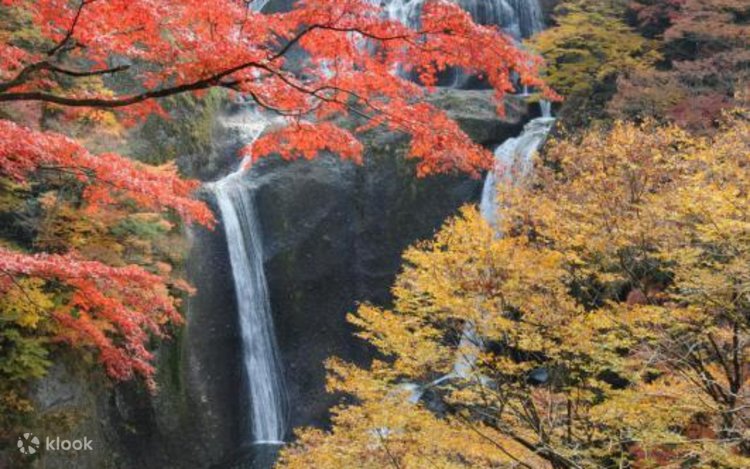 Bronze/Orange Road/Waterfall 永井博 一十三十一 Kumoi-no-taki Waterfall A waterfall along Oirase Gorge in