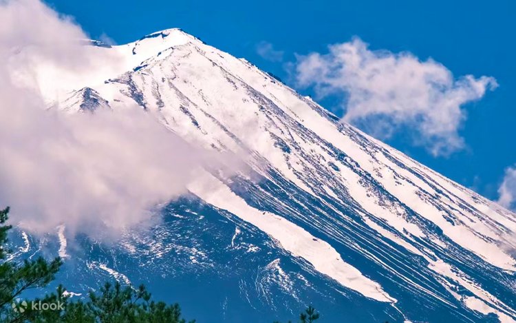 A2✨白龍と富士山 ✨ No. 10 虹の不死鳥No.5 【 宇治るぽさま専用】 MASAKI on X: 