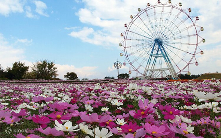 Fukuoka Uminonakamichi Park & Itoshima Full-Day Tour with Scenic