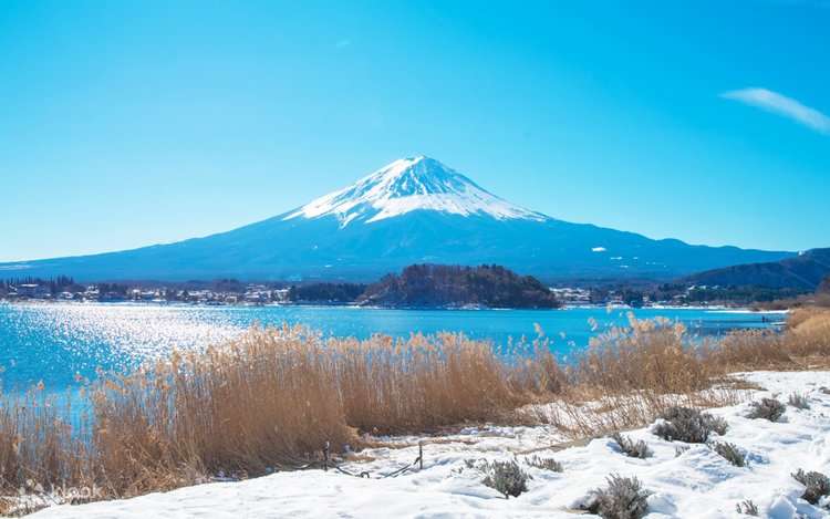 本栖湖富士芝桜】新倉山浅間公園＆忍野八海＆本栖湖芝桜まつり