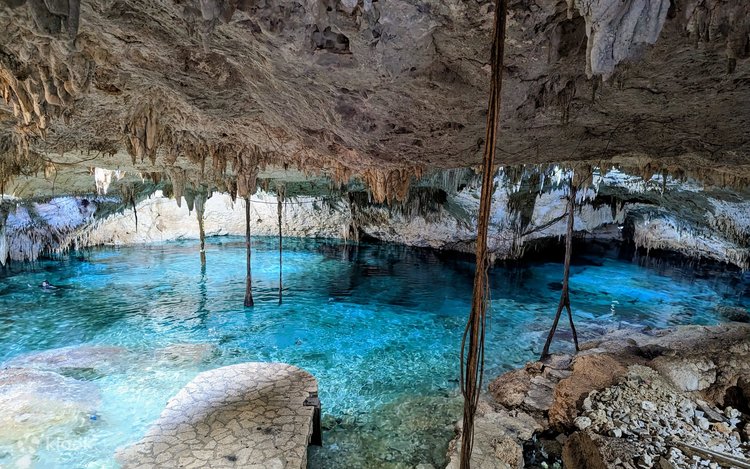 セノーテ　Cenote トゥルム セノーテ シュノーケリング体験 | Klook