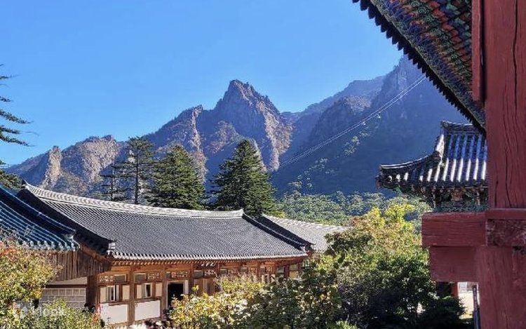 Mt.Seoraksan/Nami island/ Naksansa temple/Morning calm garden tour