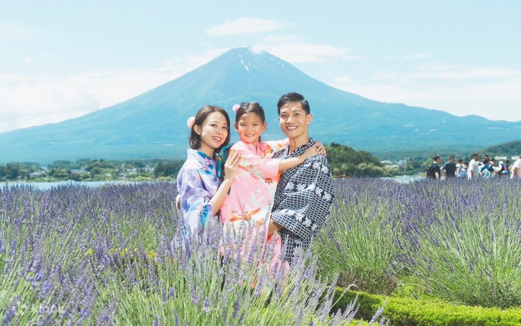 ラボット　着物　lovot 羽織　水色　富士山　袴ストライプ　紺　富士山インナー ラボット 着物 lovot 羽織 青 袴ストライプ 水色富士山インナー