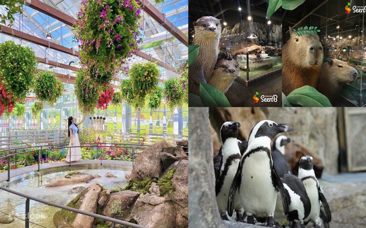 Gapyeong Nature Tour: Aqua Garden, Begonia Bird Garden & SeenB Zoo