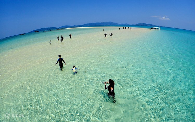 ehtirosli hd gif porno videolar