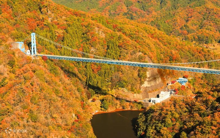 Ibaraki Fall Foliage: Baguda Waterfall & Ryujin Suspension