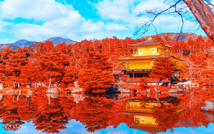 京都古寺散策 京都 閑静な西京エリアで古寺散策と紅葉散歩 | とっておきの京都