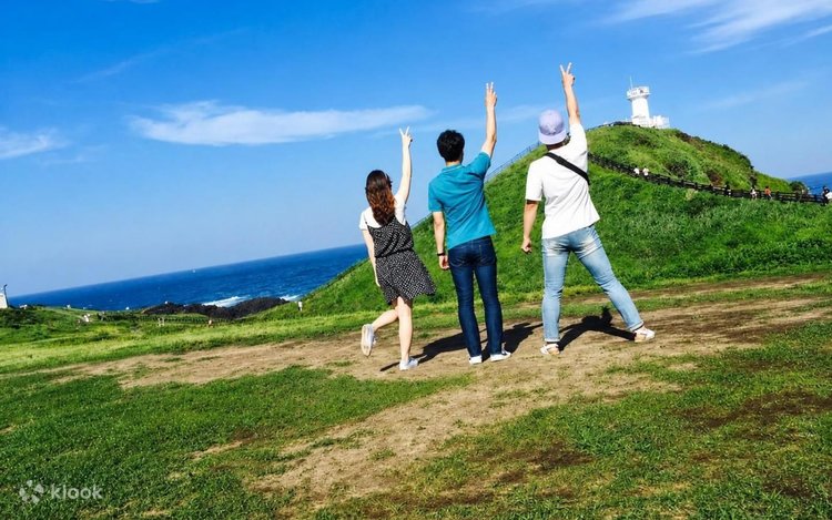 Jeju Spring Blossom Tour | Instagrammable Photo Spots - Klook