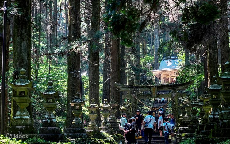 祭祀と供犠 日本人の自然観・動物観(法蔵館) 祭祀と供犠 日本人の自然観・動物観 (法蔵館文庫) | 中村 生雄